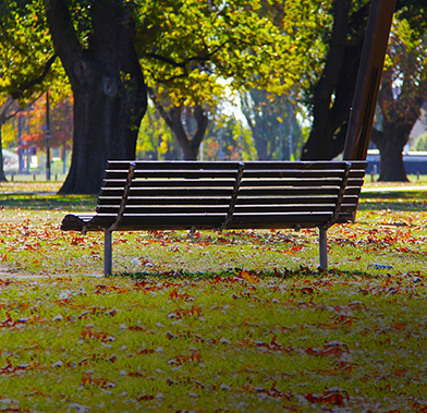 Park-Finder-for-Nature-Lovers